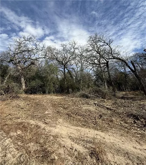 tbd Oaks Dr, Caldwell, TX 77836