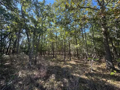 lot14 Shady Oaks Ln, Somerville, TX 77879