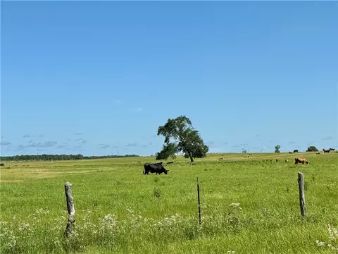 6477 Garhole View Ln, Bryan, TX 77808 photo 5