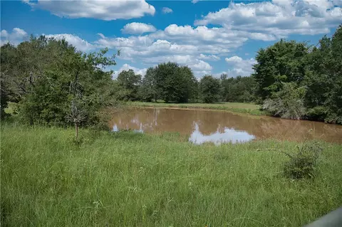 12538 S E B Watson County Rd SE, Bremond, TX 76629