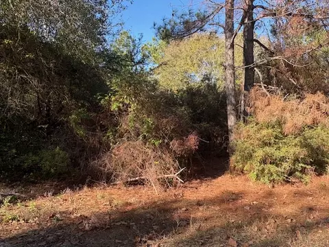 tbd Lot 20 Nassau Ln, Hilltop Lakes, TX 77871