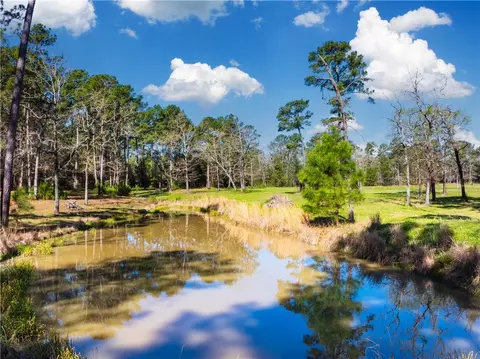 9191 Amelia Dr, Anderson, TX 77830