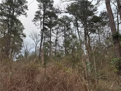 13475 White Oak Dr, Plantersville, TX 77363