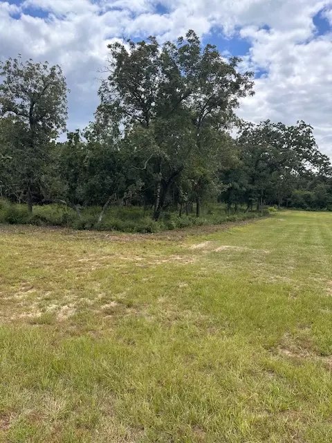 20 Meadowood, Hilltop Lakes, TX 77871
