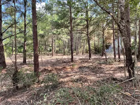 tbd Kingston Ln, Hilltop Lakes, TX 77871