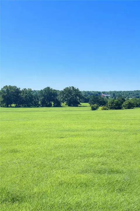 tbd Andreski Rd, Bremond, TX 76629 photo 4