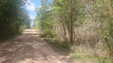 lot8 Yupon Ln, Plantersville, TX 77363
