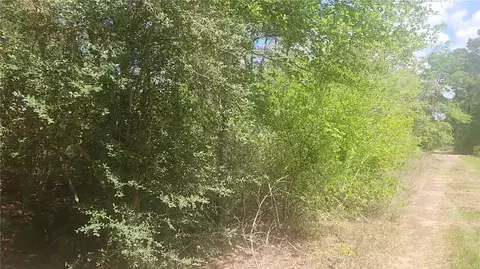 lot5 Tupelo Ln, Plantersville, TX 77363