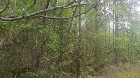 lot5 Pin Oak Dr, Plantersville, TX 77363