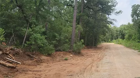 lot3 Scarlet Oak Dr, Plantersville, TX 77363