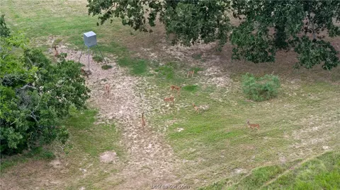 8300 Riley Rd, Bryan, TX 77808 photo 7