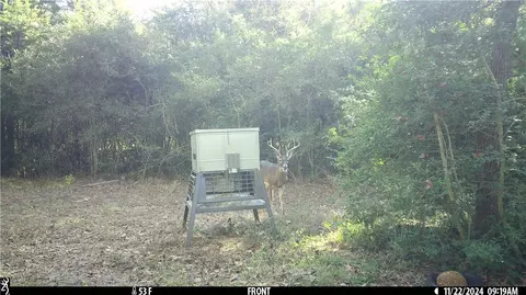 11947 Gordon Ln, Bryan, TX 77808 photo 39