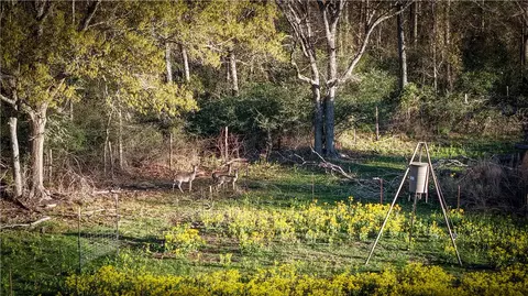 tbd Jackrabbit Ln, Bryan, TX 77808 photo 8