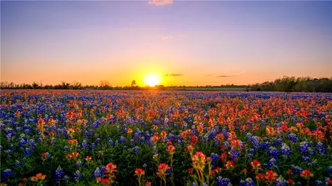 5107 Bovista Ranch Rd, Navasota, TX 77868