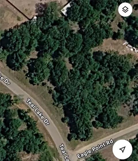 597 Teal Lake Dr, Caldwell, TX 77836