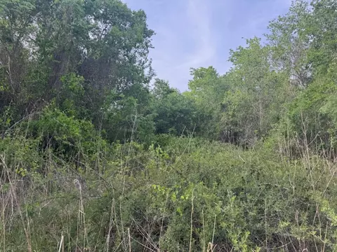 25230 Lake Ridge Dr, Navasota, TX 77868