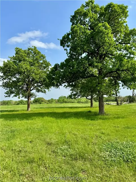15420 Arhopulos Rd, College Station, TX 77845