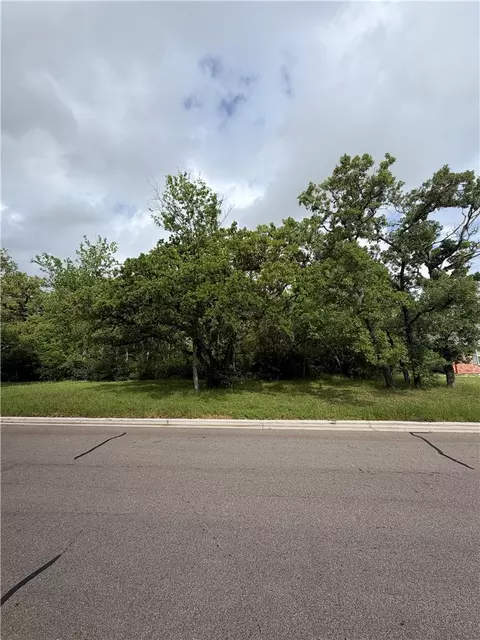 1011 Holt St, College Station, TX 77840