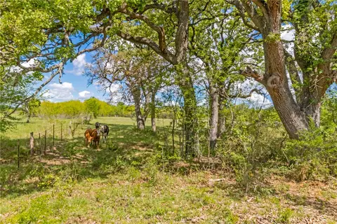 Other - 197 County Road 268, Cameron, TX 76520 photo 20 of 22