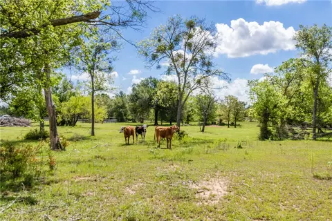 Other - 197 County Road 268, Cameron, TX 76520 photo 16 of 22