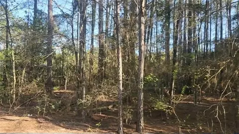 lot5 Walnut Tree Ln, Plantersville, TX 77363