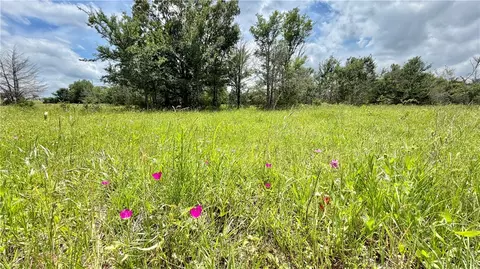tbd Fm 1696, Iola, TX 77861 photo 5