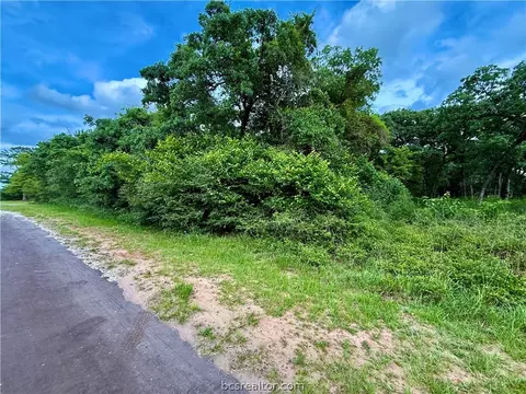 tbd Jamaica Dr, Hilltop Lakes, TX 77871