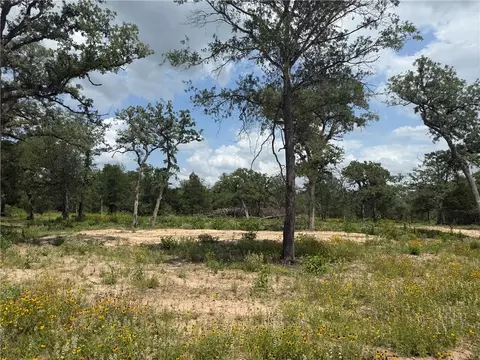 3309 Deer Ledge, Caldwell, TX 77836