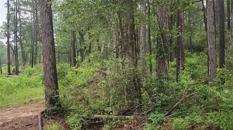 lot33 Gum Tree Ln, Plantersville, TX 77363