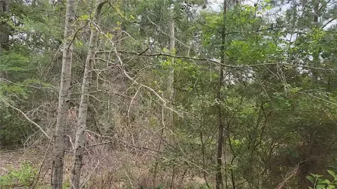 lot10 Sweetleaf Ln, Plantersville, TX 77363