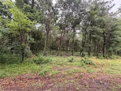 5265 Pecan Tree Ln, Montgomery, TX 77316