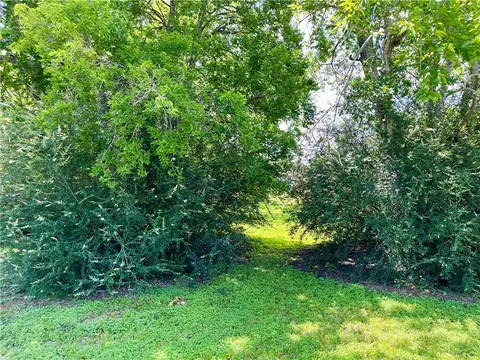 1412 Rollins Ave, Bryan, TX 77803 photo 6