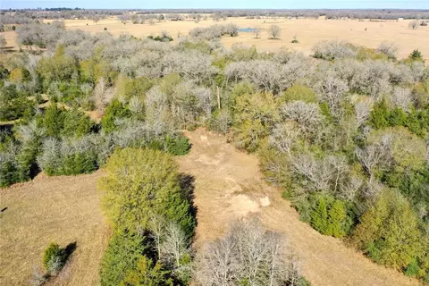 5 Acres Manning Ln, Madisonville, TX 77864