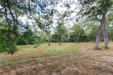 tbd Grape Cir, Somerville, TX 77879