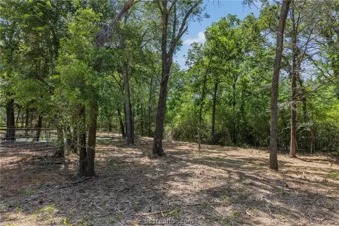 tbd Weber Rd, Bryan, TX 77808 photo 10