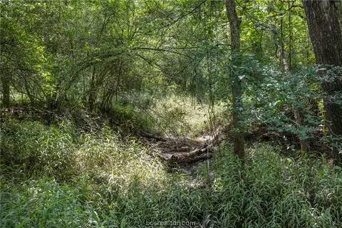 tbd Weber Rd, Bryan, TX 77808 photo 16
