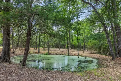 tbd Weber Rd, Bryan, TX 77808 photo 5