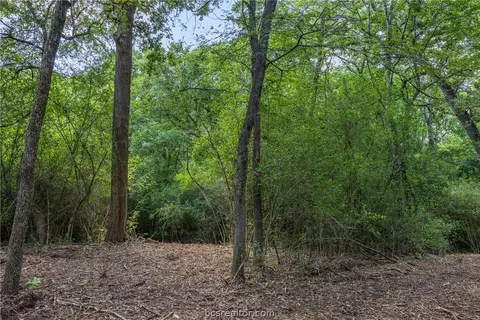tbd Weber Rd, Bryan, TX 77808 photo 13