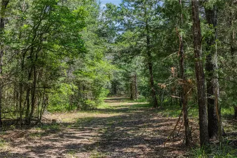 tbd Weber Rd, Bryan, TX 77808 photo 6