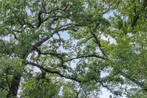 tbd Weber Rd, Bryan, TX 77808 photo 20