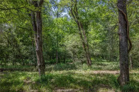 tbd Weber Rd, Bryan, TX 77808 photo 30