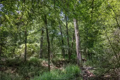 tbd Weber Rd, Bryan, TX 77808 photo 31