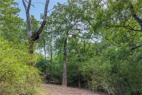 tbd Weber Rd, Bryan, TX 77808 photo 19