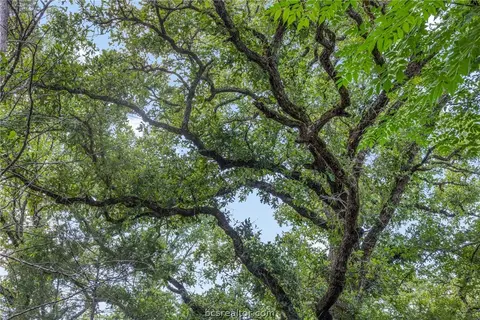 tbd Weber Rd, Bryan, TX 77808 photo 15