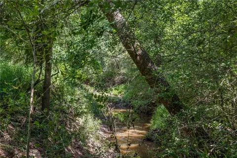 tbd Weber Rd, Bryan, TX 77808 photo 21