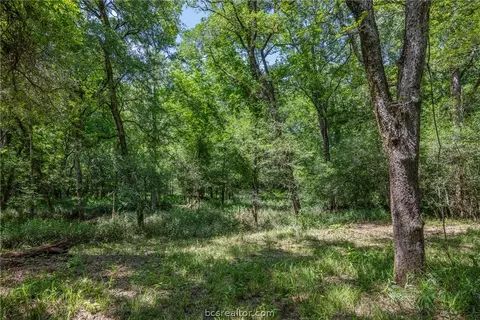 tbd Weber Rd, Bryan, TX 77808 photo 29