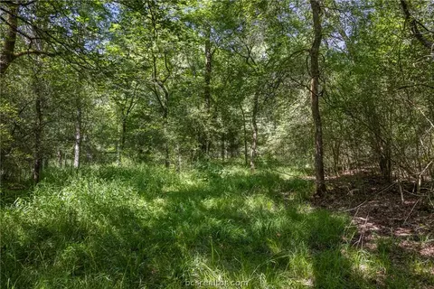 tbd Weber Rd, Bryan, TX 77808 photo 7
