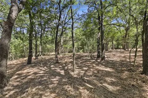 tbd Grassbur Rd, Bryan, TX 77808 photo 8