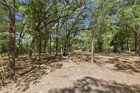 tbd Grassbur Rd, Bryan, TX 77808 photo 9
