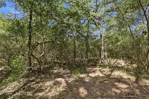 tbd Grassbur Rd, Bryan, TX 77808 photo 7